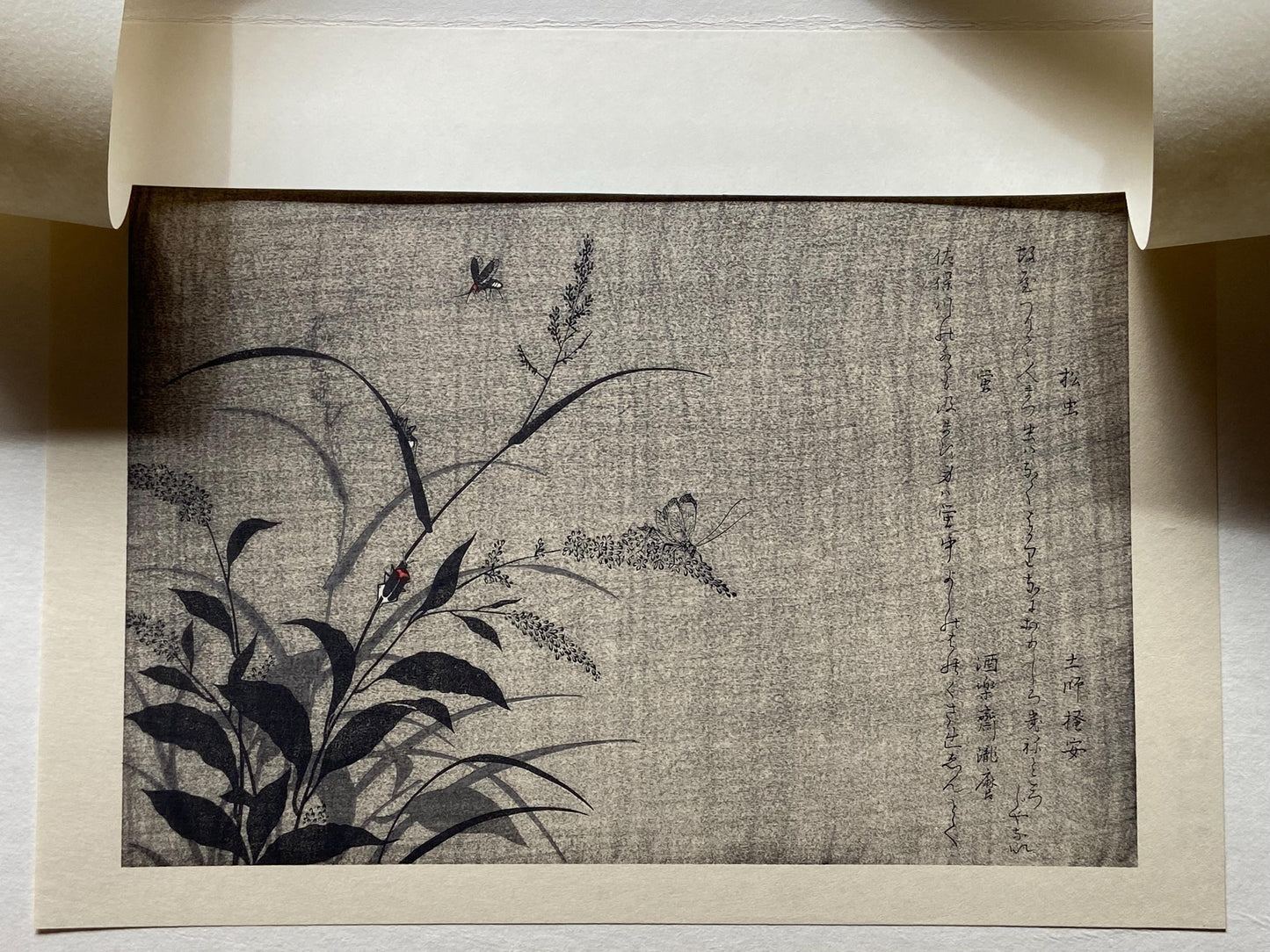 Japanese Ukiyoe, woodcut print, Utamaro, "Tree Cricket (Matsumushi) and Firefly (Hotaru)"