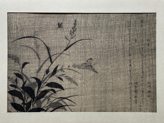 Japanese Ukiyoe, woodcut print, Utamaro, "Tree Cricket (Matsumushi) and Firefly (Hotaru)"