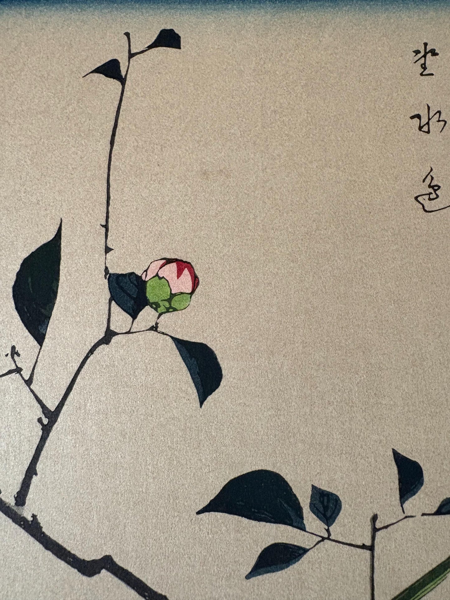 Japanese Ukiyoe, Woodblock print, Hiroshige, "Camellia and Nightingale"