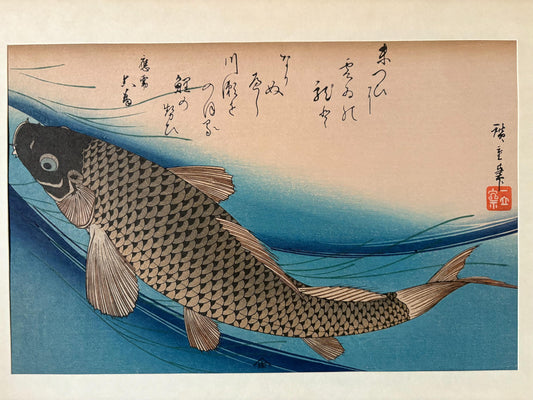 Japanese Ukiyoe, Woodblock print, Hiroshige, "Carp"