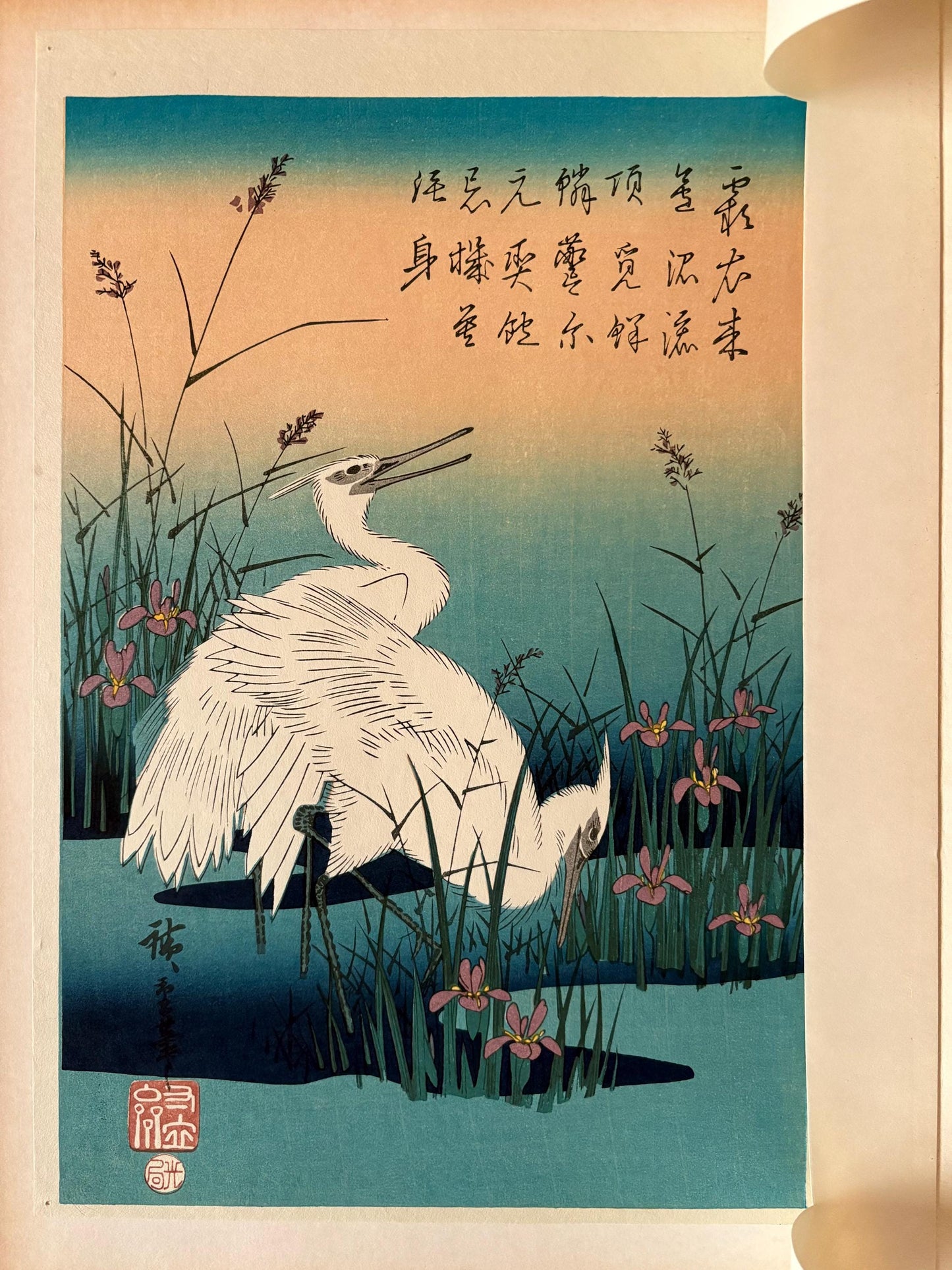 Japanese Ukiyoe, Woodblock print, Hiroshige, "White Herons and Iris"