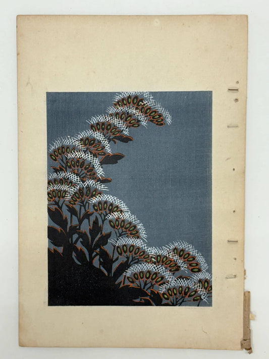 Japanese Antique Original Woodcut Print, Japanese design, Around 1900, Shin-Bijutsukai 9, Antique Japanese print, Kimono Design.