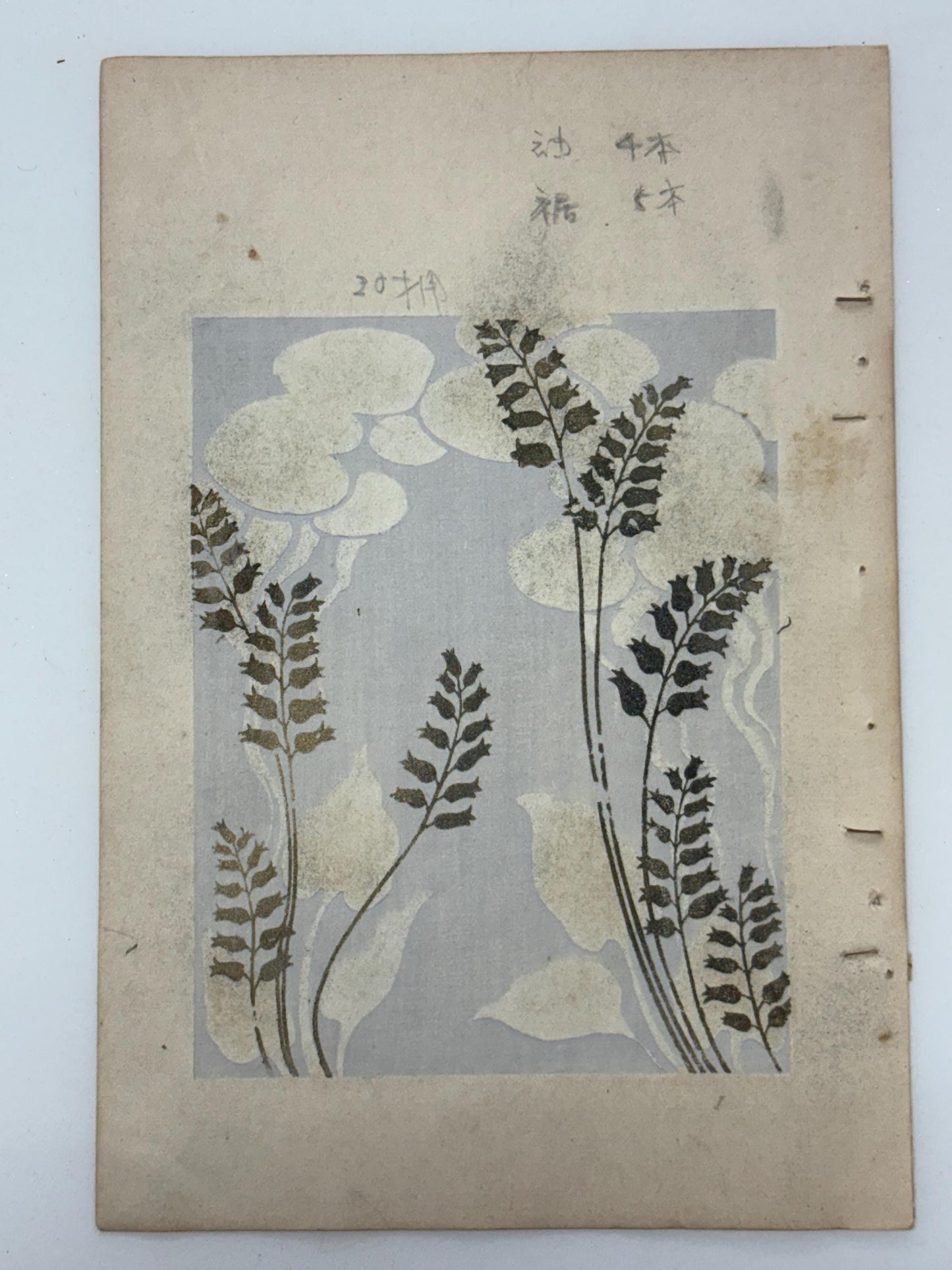 Japanese Antique Original Woodcut Print, Japanese design, Around 1900, Shin-Bijutsukai 12, Antique Japanese print, Kimono Design.