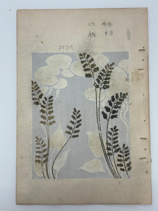 Japanese Antique Original Woodcut Print, Japanese design, Around 1900, Shin-Bijutsukai 12, Antique Japanese print, Kimono Design.