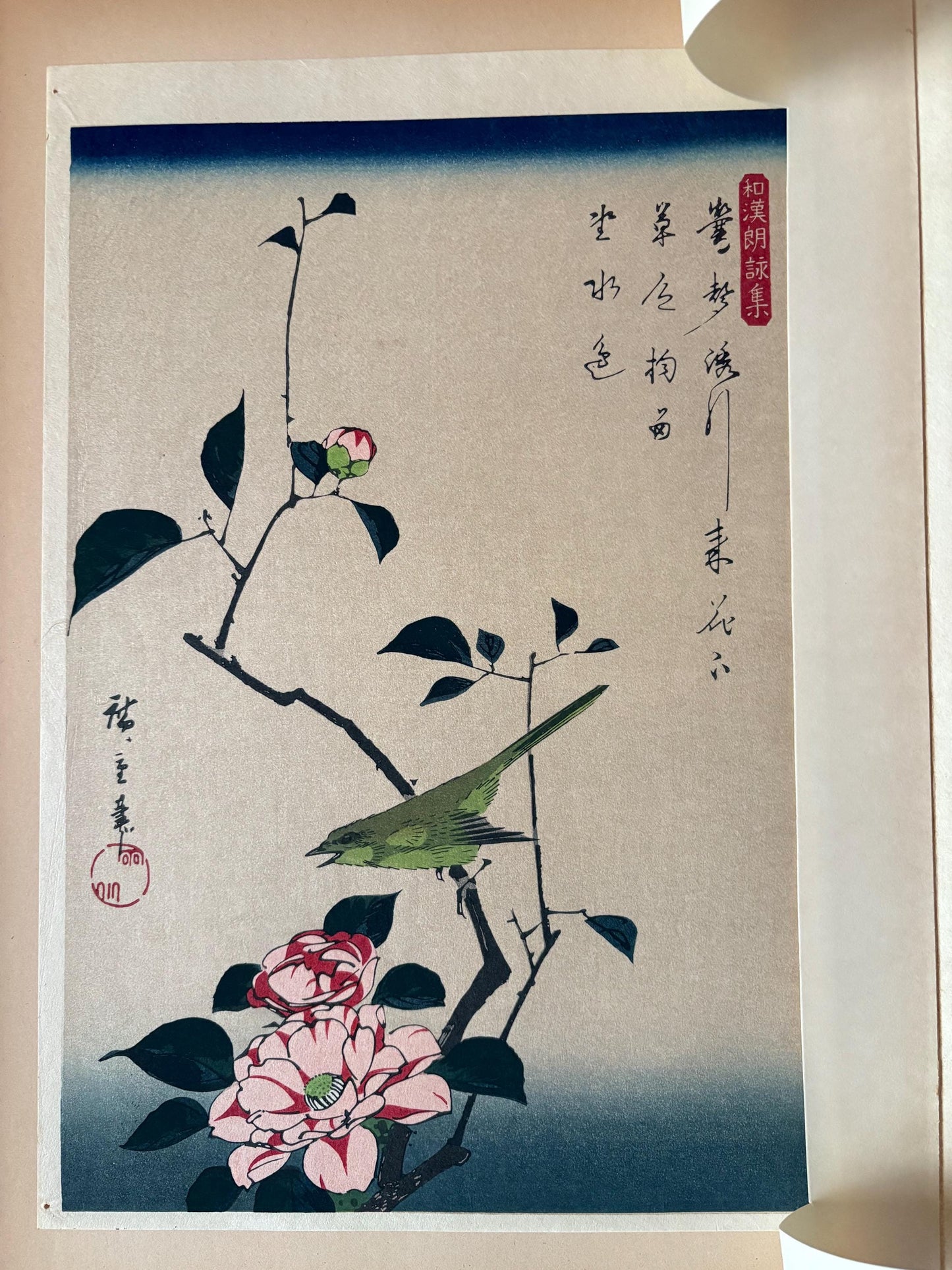 Japanese Ukiyoe, Woodblock print, Hiroshige, "Camellia and Nightingale"