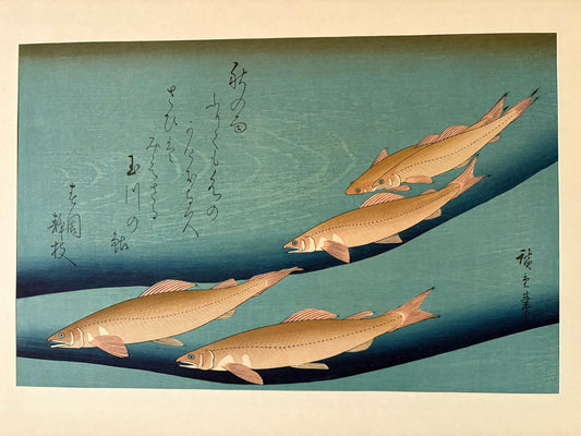 Japanese Ukiyoe, Woodblock print, Hiroshige, "Ayu"