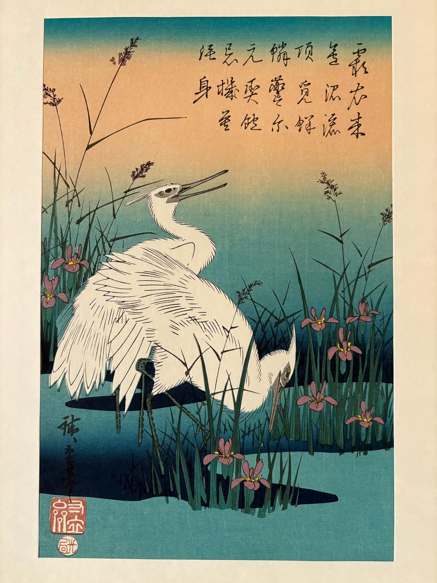 Japanese Ukiyoe, Woodblock print, Hiroshige, "White Herons and Iris"