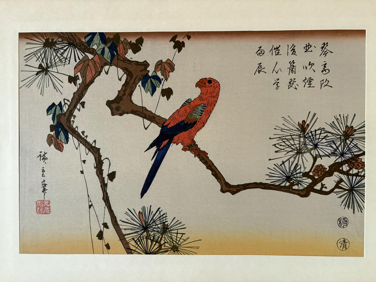 Japanese Ukiyoe, Woodblock print, Hiroshige, "Macaw on Pine Branch".