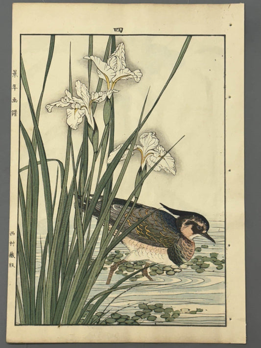 Japanese Antique Original Woodcut Print, 1892, Japanese Antique Original Woodcut Print, Imao Keinen, "Iris, Northern lapwing"