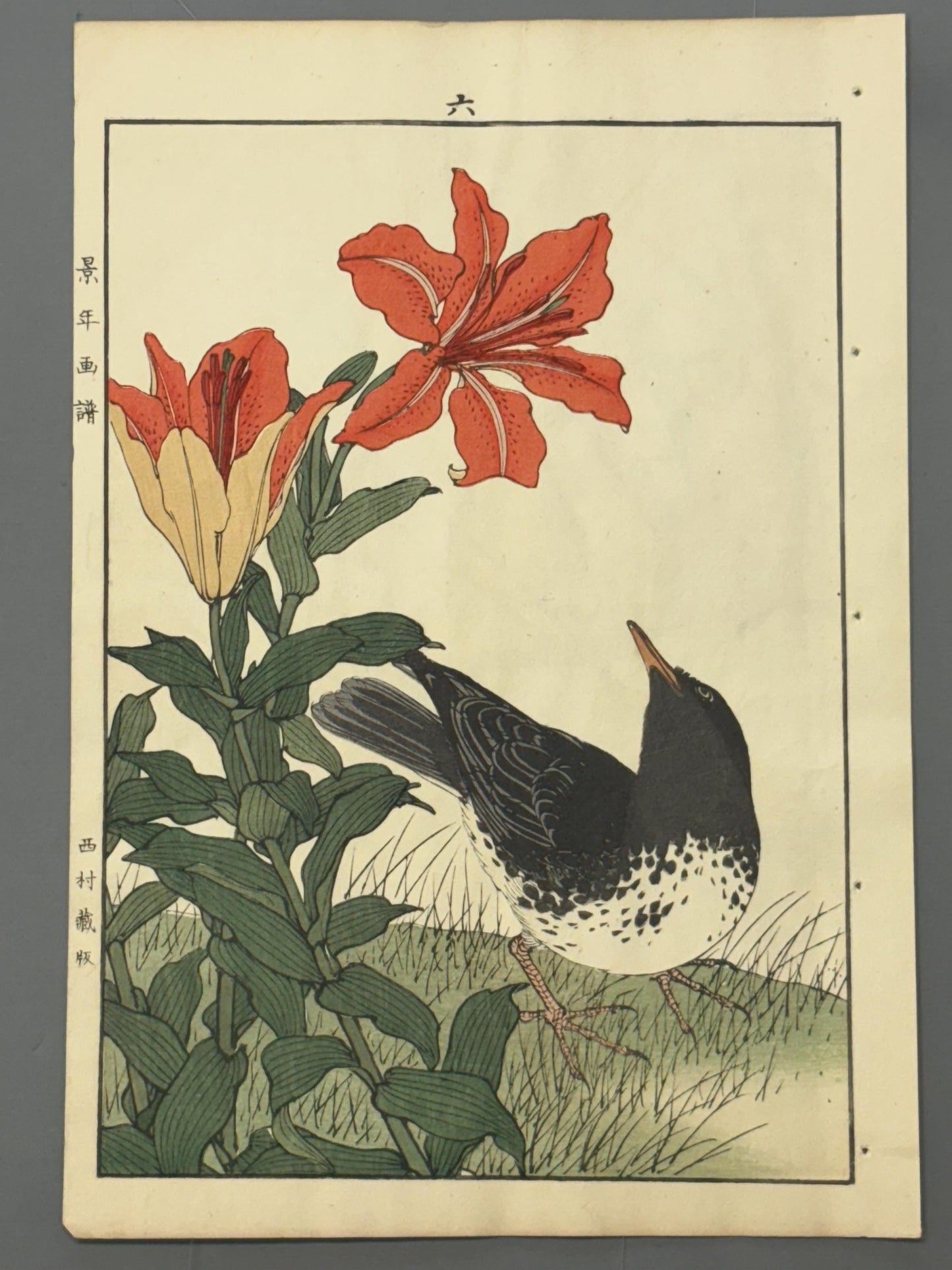 Japanese Antique Original Woodcut Print, 1892, Japanese Antique Original Woodcut Print, Imao Keinen, "Star lily, Japanese Thrush"