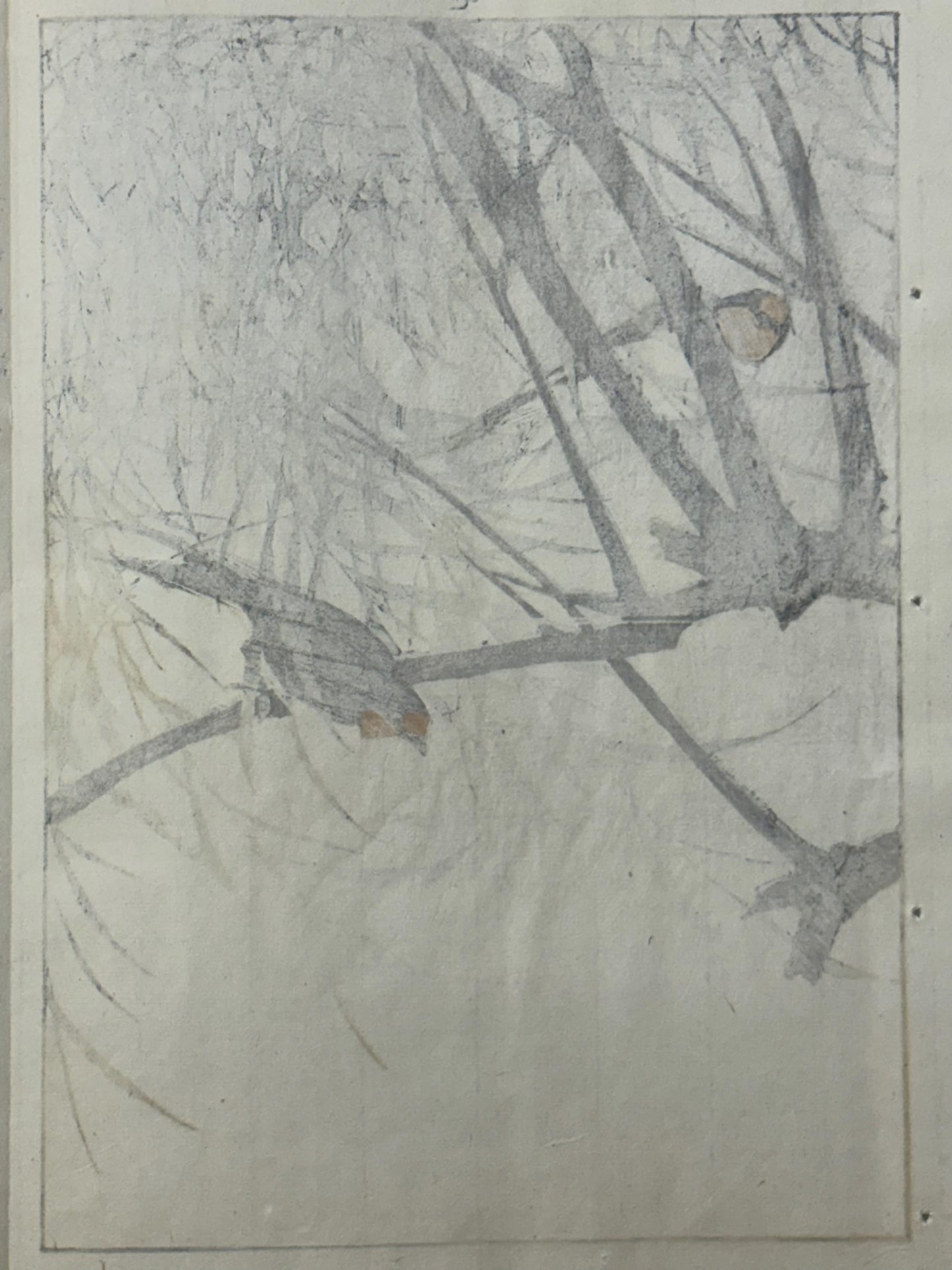 Japanese Antique Original Woodcut Print, 1892, Imao Keinen, "Willow, Swallow "