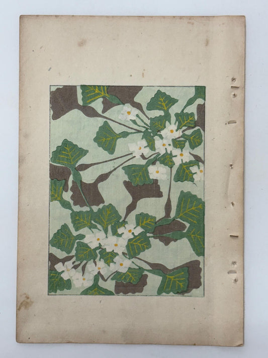 Japanese Antique Original Woodcut Print, Japanese design, Around 1900, Shin-Bijutsukai 11, Antique Japanese print, Kimono Design.