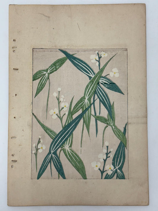 Japanese Antique Original Woodcut Print, Japanese design, Around 1900, Shin-Bijutsukai 11, Antique Japanese print, Kimono Design.