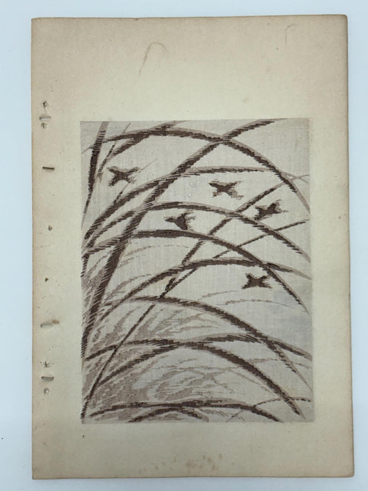 Japanese Antique Original Woodcut Print, Japanese design, Around 1900, Shin-Bijutsukai 11, Antique Japanese print, Kimono Design.