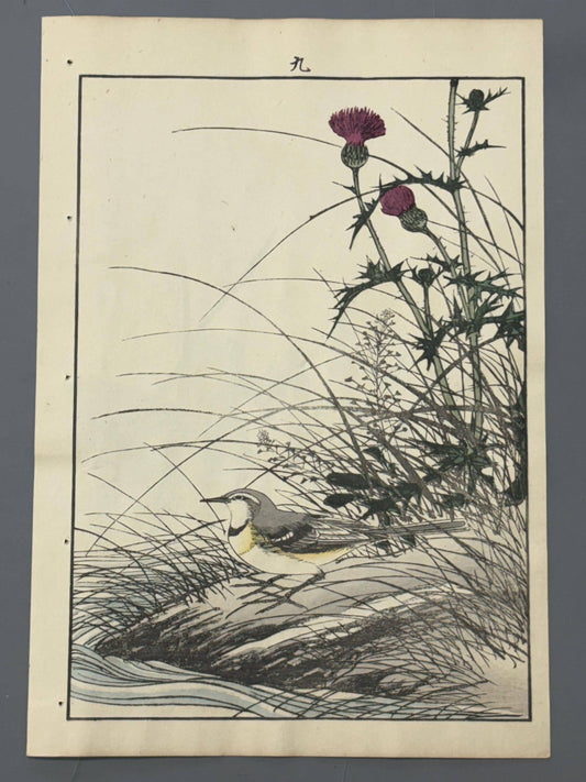 Japanese Antique Original Woodcut Print, 1892, Imao Keinen, "Japanese thistle, Grey Wagtail"