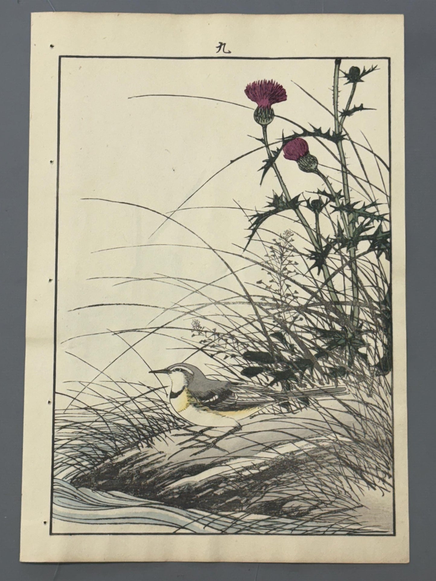 Japanese Antique Original Woodcut Print, 1892, Imao Keinen, "Japanese thistle, Grey Wagtail"