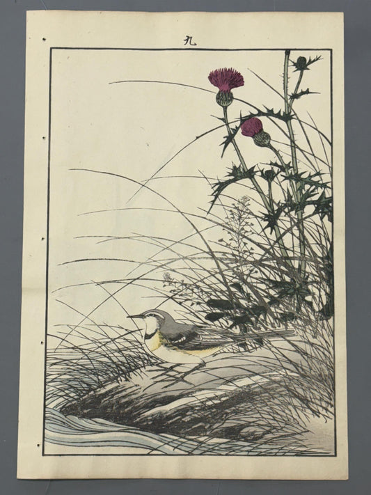 Japanese Antique Original Woodcut Print, 1892, Imao Keinen, "Japanese thistle, Grey Wagtail"