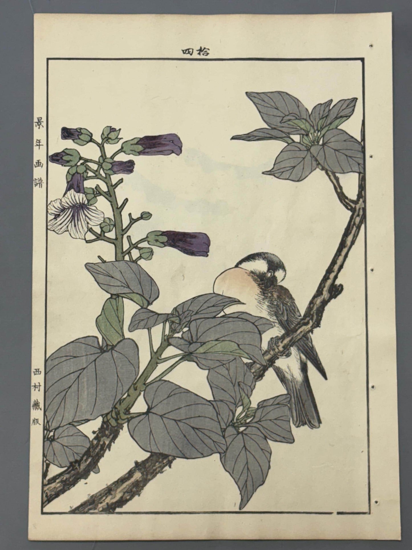 Japanese Antique Original Woodcut Print, 1892, Imao Keinen, "Empress tree, Chinese bulbul"