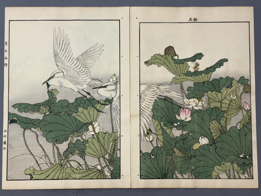Japanese antique woodcut print, 1892, Imao Keinen, "Lotus flower, Egret"