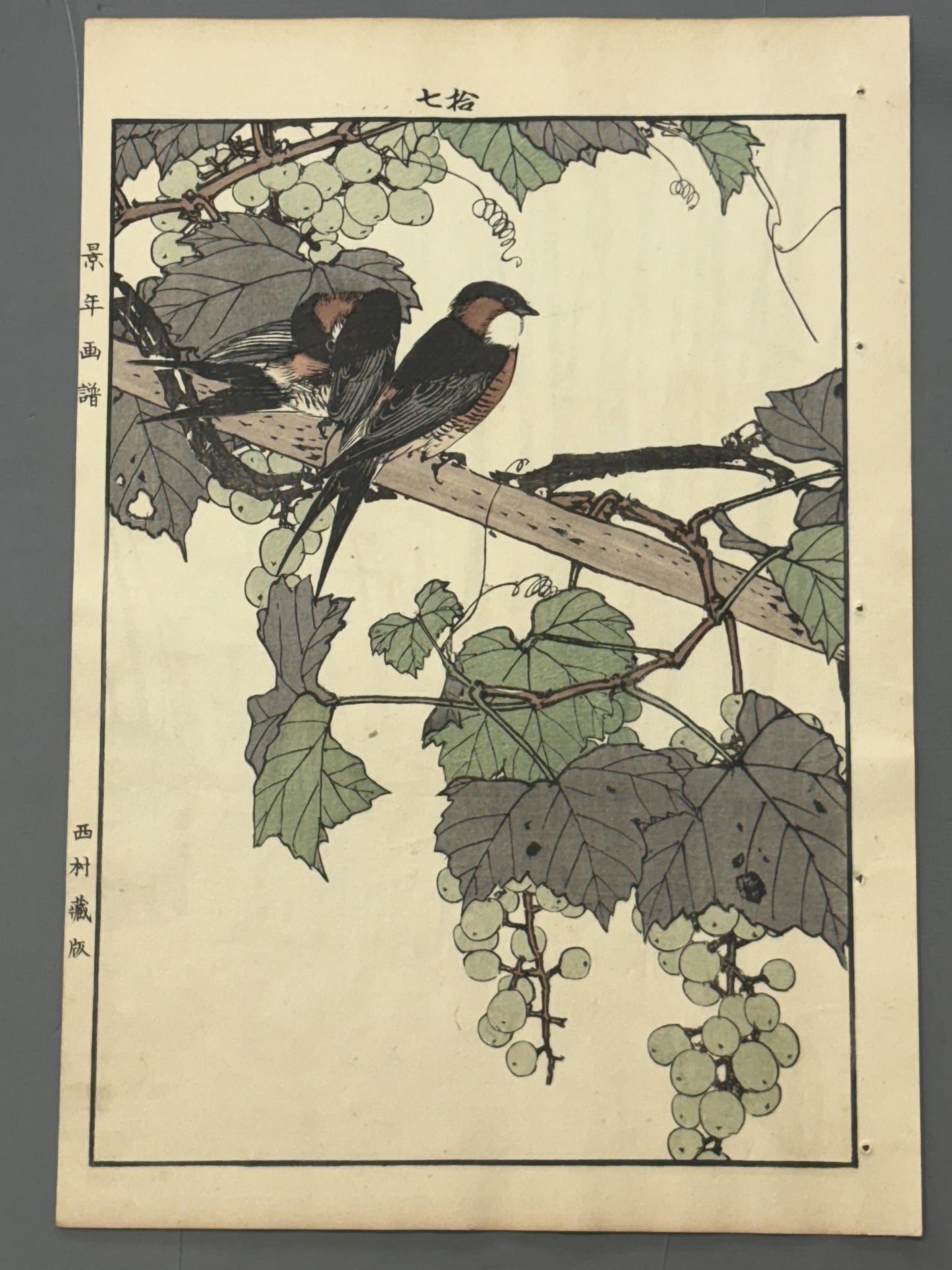 Japanese Antique Original Woodcut Print, 1892, Imao Keinen, "Grape, Swallow"