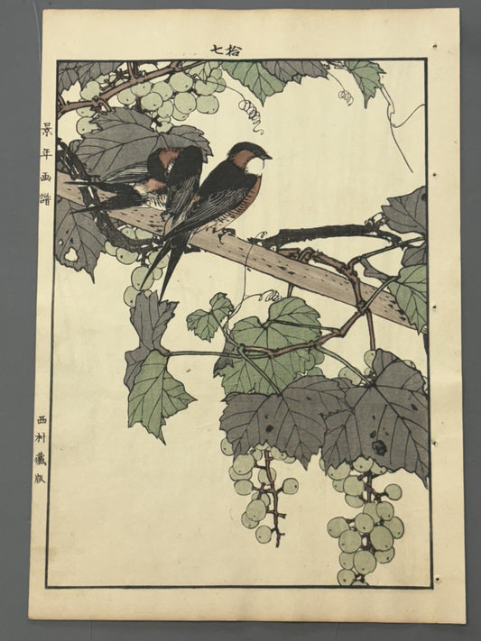 Japanese Antique Original Woodcut Print, 1892, Imao Keinen, "Grape, Swallow"