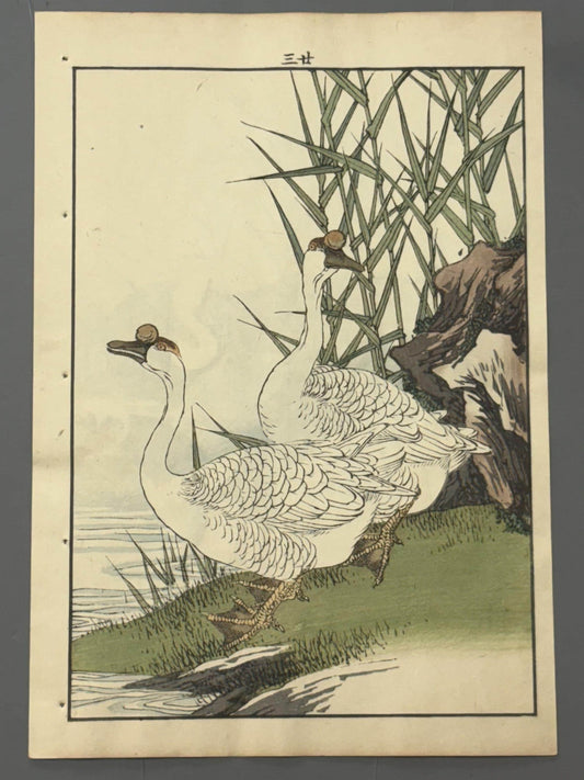Japanese Antique Original Woodcut Print, Imao Keinen, "Reed, Goose"