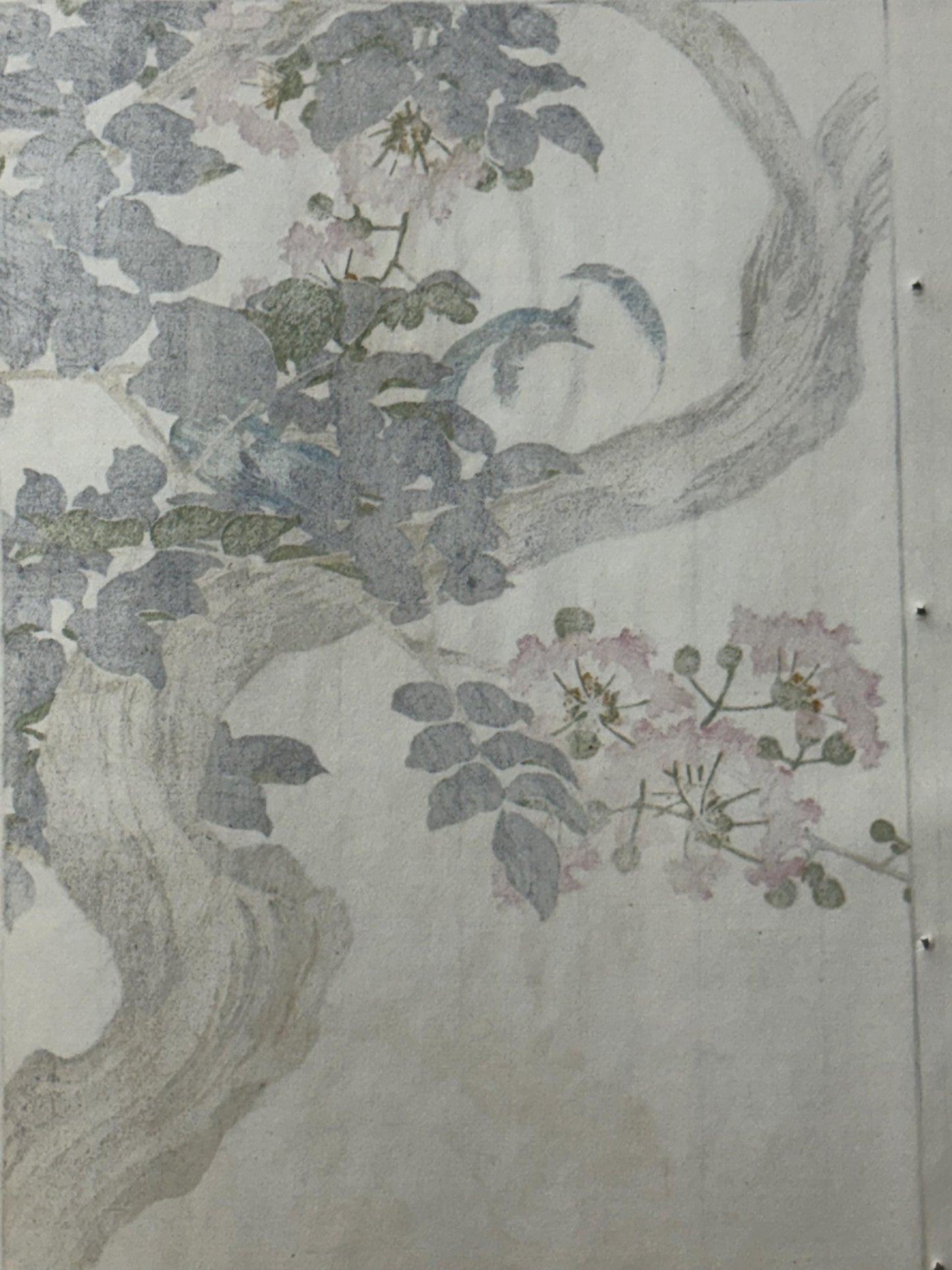 Japanese Antique Original Woodcut Print, Imao Keinen, "Crape-myrtle, Siberian blue robin"