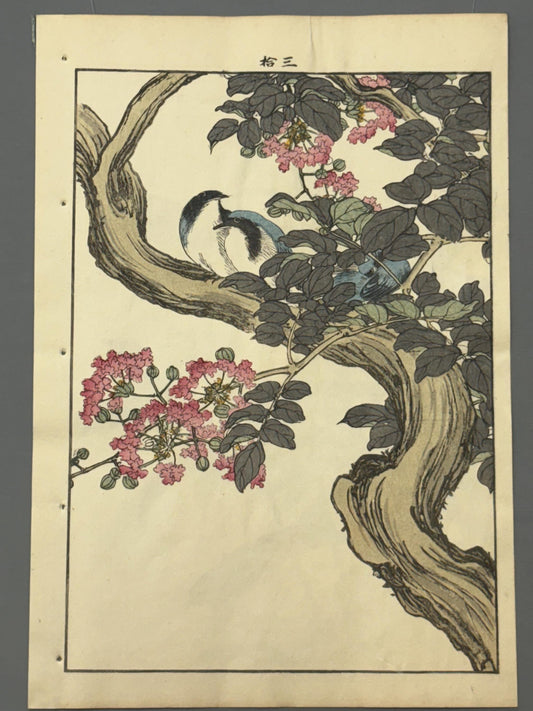 Japanese Antique Original Woodcut Print, Imao Keinen, "Crape-myrtle, Siberian blue robin"