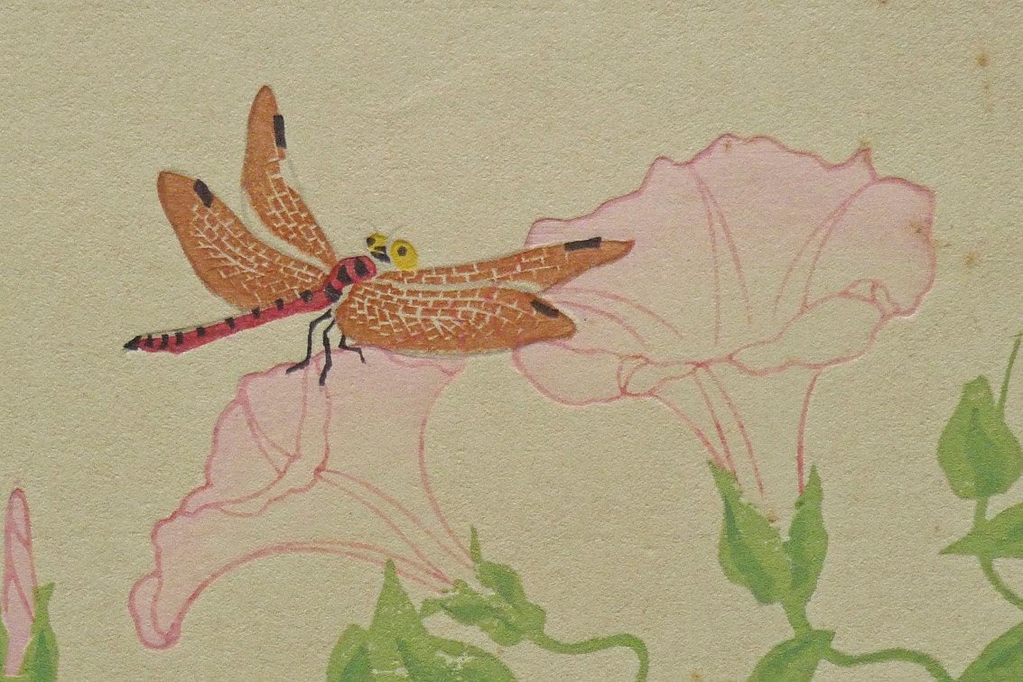 1932, Ukiyoe, Original Sōsaku-hanga, Woodblock print, Tokuriki Tomikichiro, "Calystegia japonica"