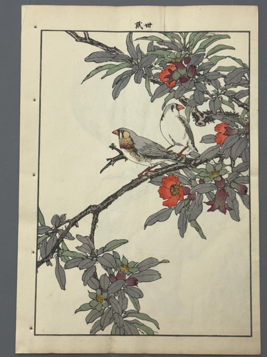 Japanese Antique Original Woodcut Print, 1892, Imao Keinen, "Pomegranate flower, Kintaicho"