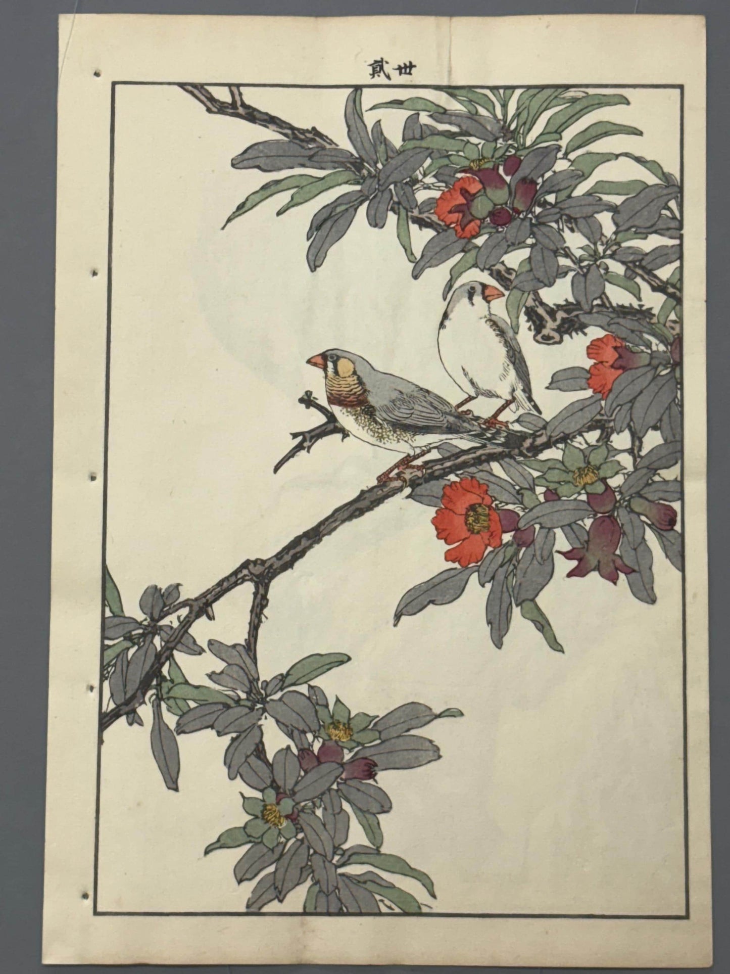 Japanese Antique Original Woodcut Print, 1892, Imao Keinen, "Pomegranate flower, Kintaicho"