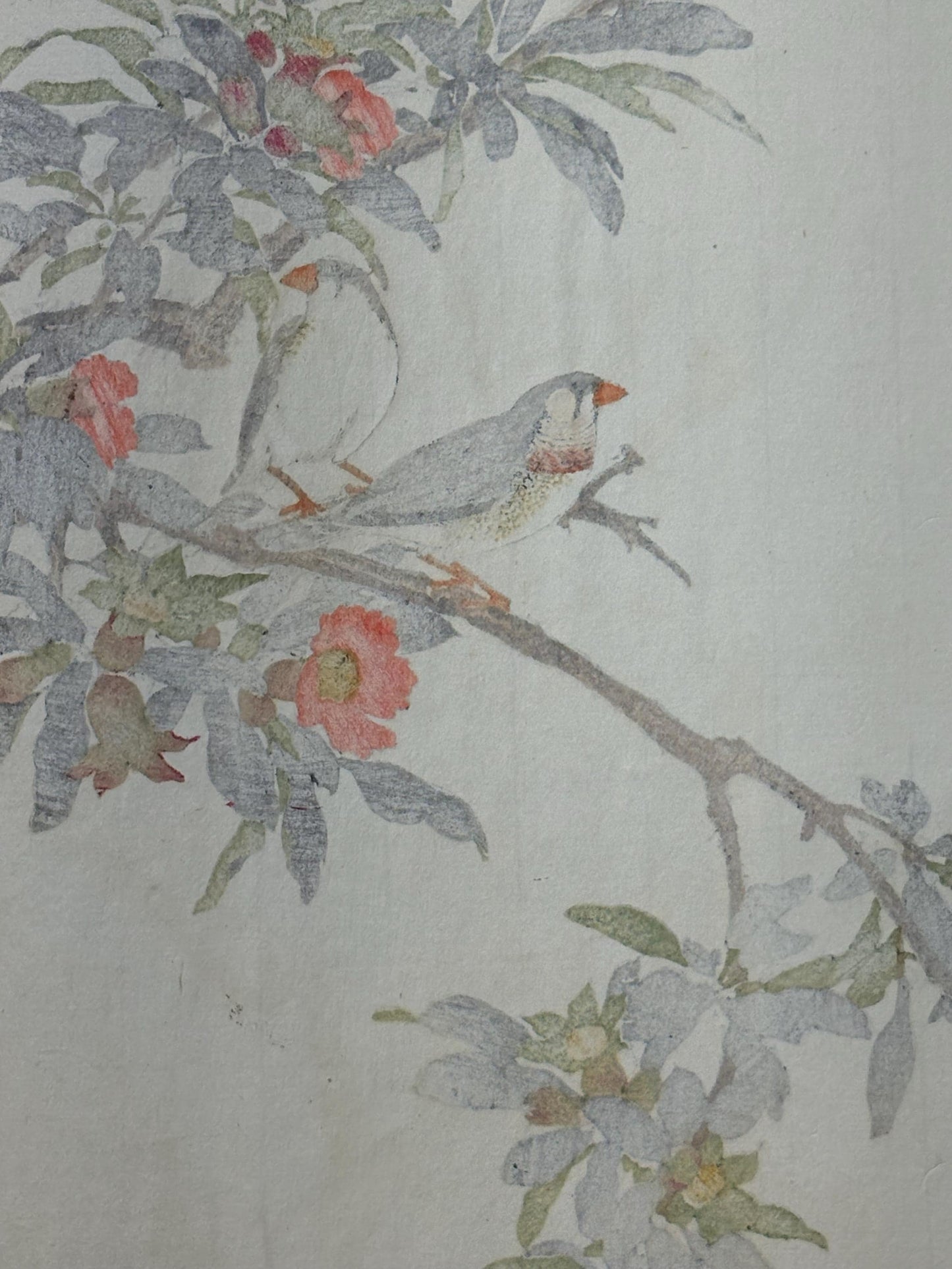 Japanese Antique Original Woodcut Print, 1892, Imao Keinen, "Pomegranate flower, Kintaicho"