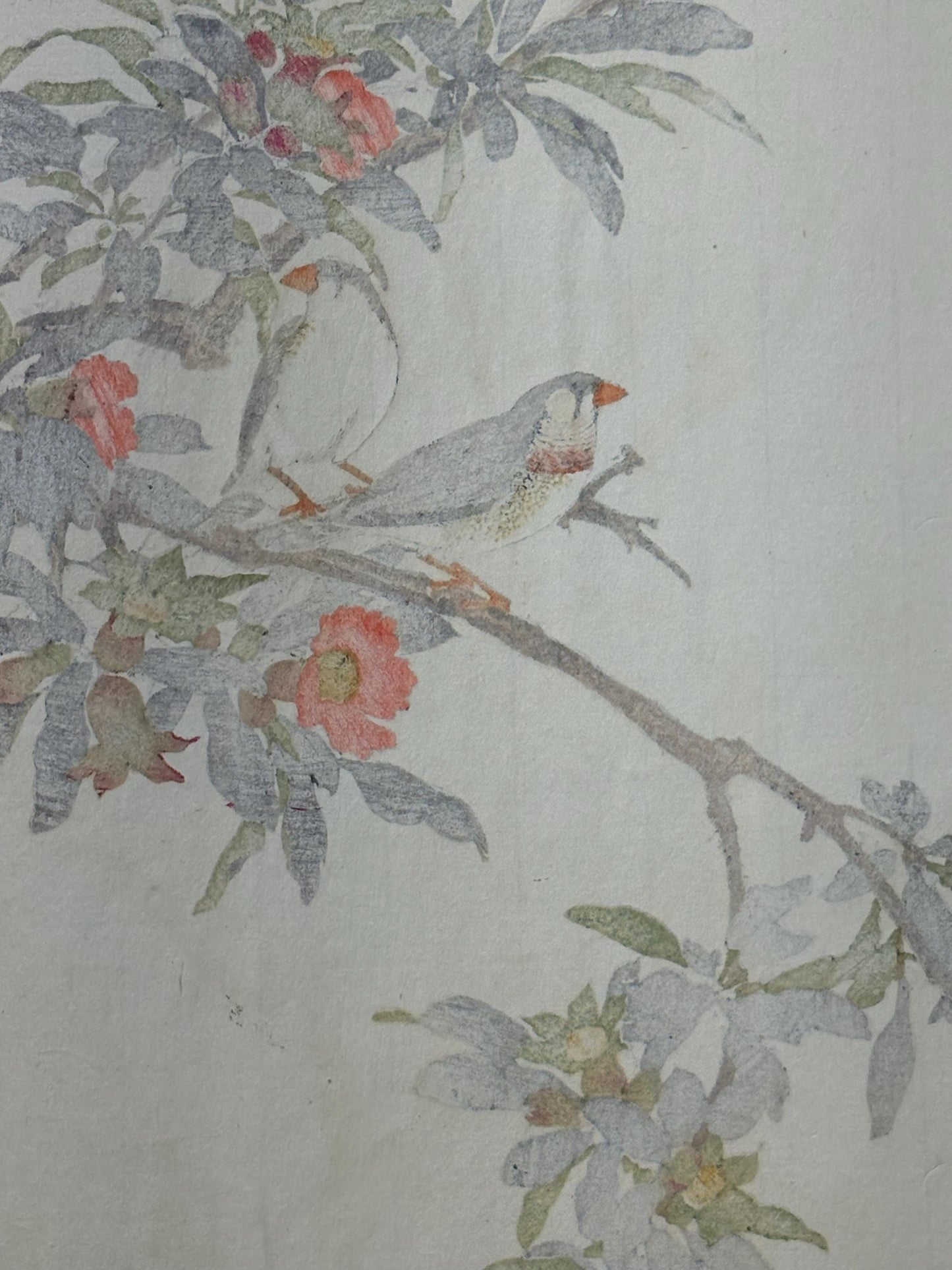 Japanese Antique Original Woodcut Print, 1892, Imao Keinen, "Pomegranate flower, Kintaicho"