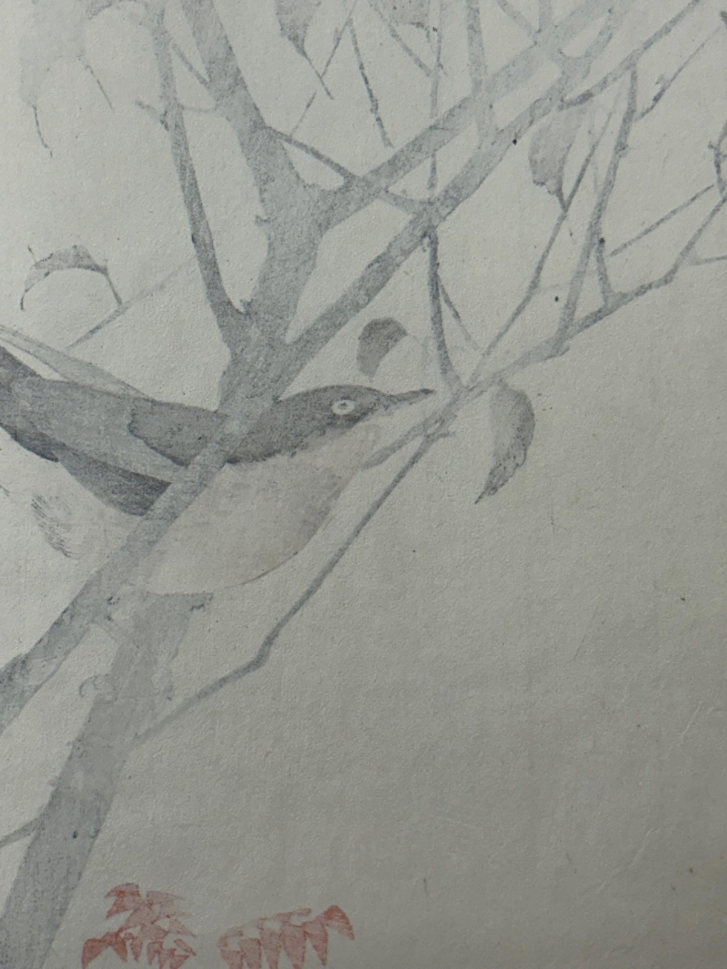 Japanese Antique Original Woodcut Print, Imao Keinen, "Leaf cherry, Dusky thrush"