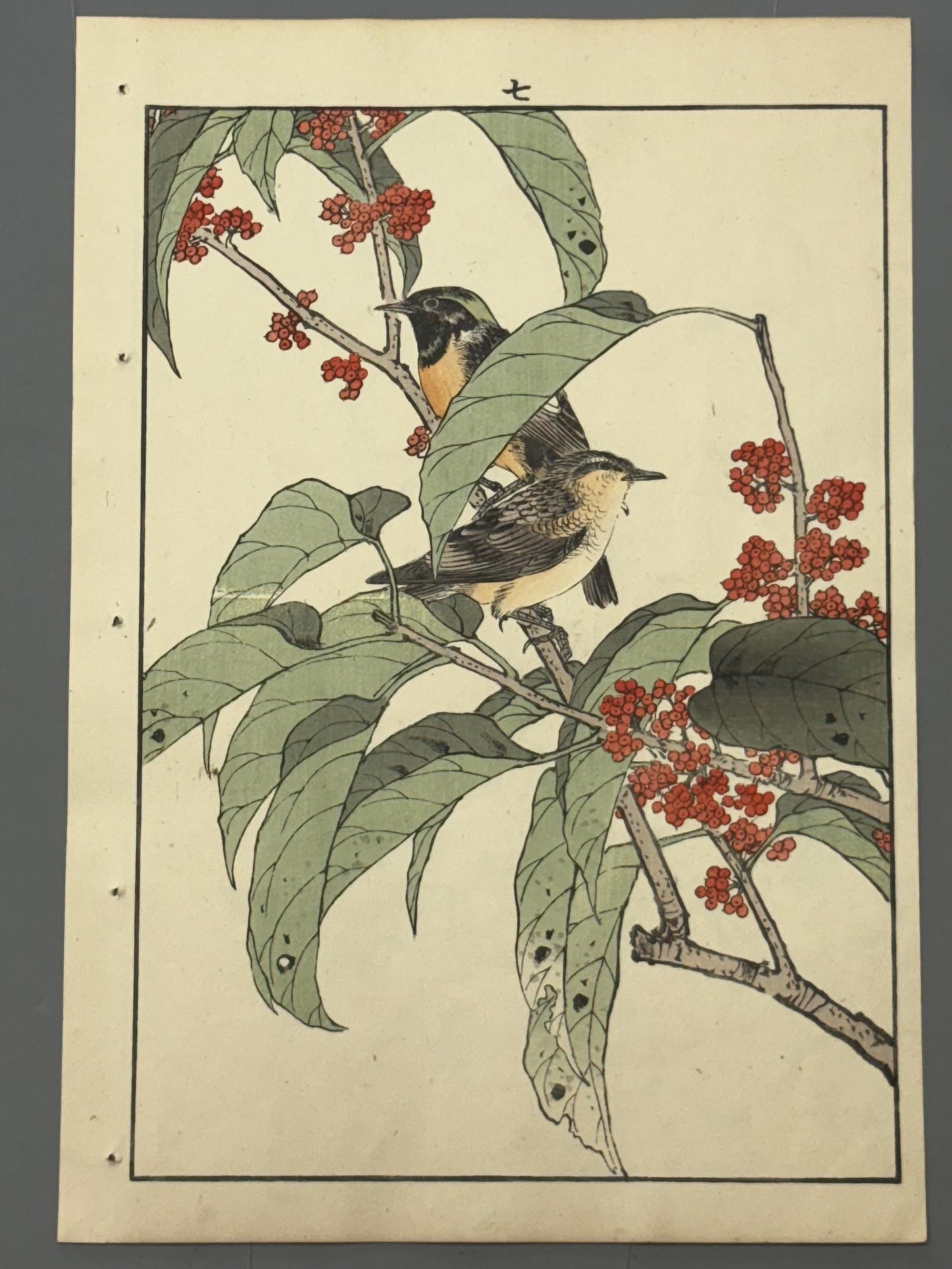 Japanese Antique Original Woodcut Print, 1892, Imao Keinen, "Tamamizuki, Ryukyu's chats"
