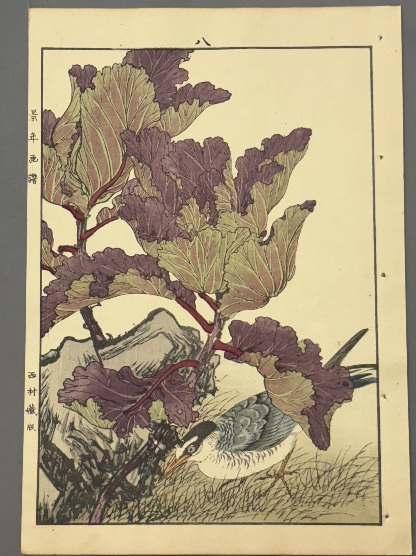 1892,Japanese Antique Original Woodcut Print, Imao Keinen, "Peony, Kawarabashiri"
