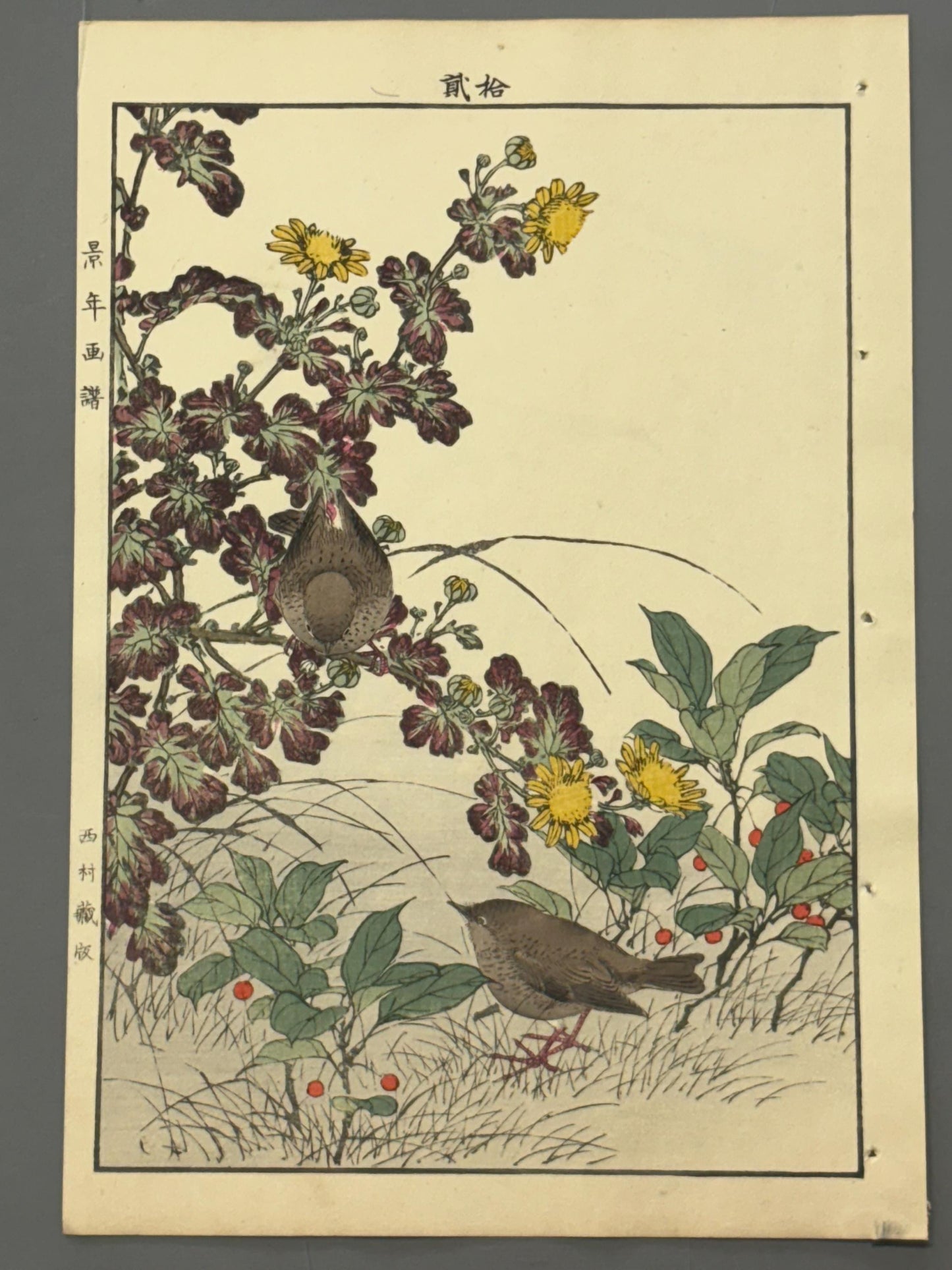 Japanese Antique Original Woodcut Print, Imao Keinen, "Winter chrysanthemum, Ardisia japonica, Eurasian Wren"