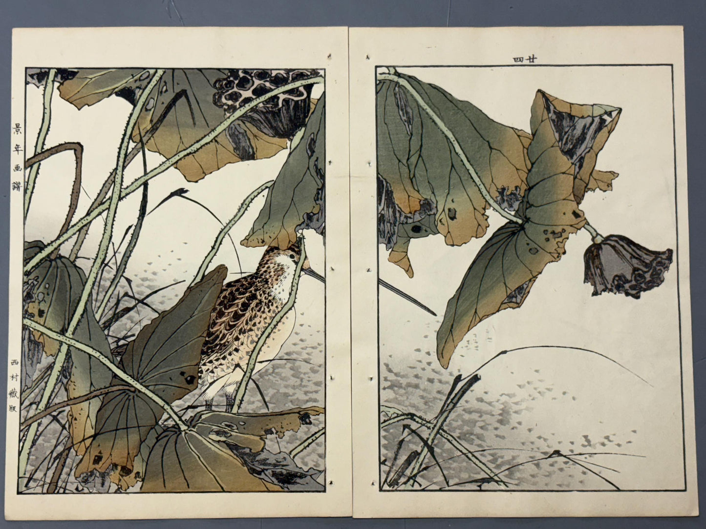 Japanese Antique Original Woodcut Print, Imao Keinen, "Lotus, Sandpiper"