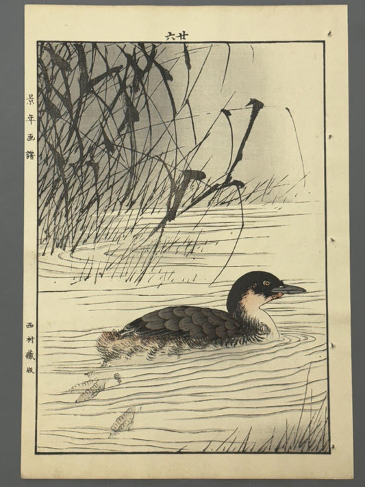 Japanese Antique Original Woodcut Print, Imao Keinen, "Manchurian Wild Rice, Little grebe"
