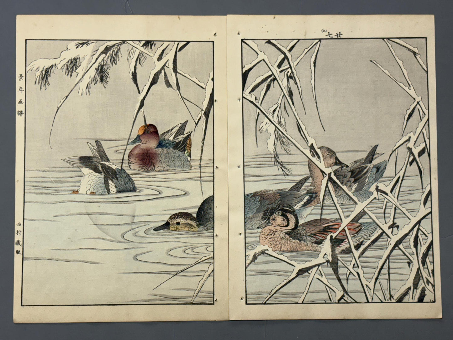 Japanese Antique Original Woodcut Print, Imao Keinen, "Reed, Duck"