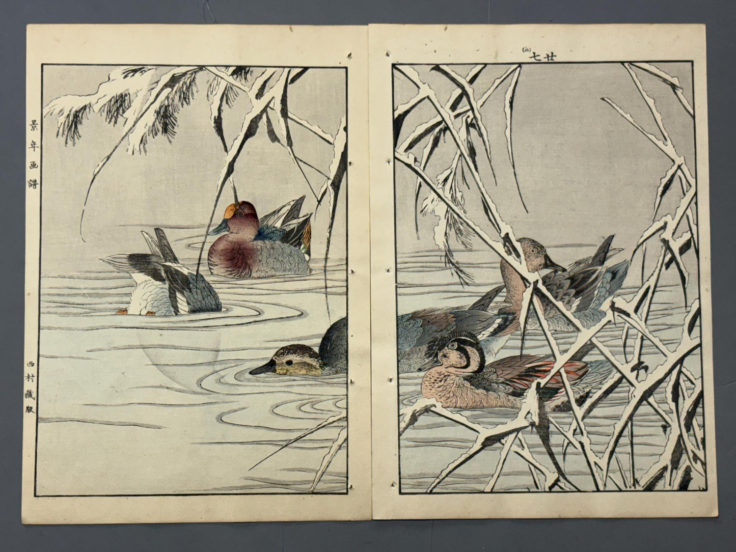 Japanese Antique Original Woodcut Print, Imao Keinen, "Reed, Duck"