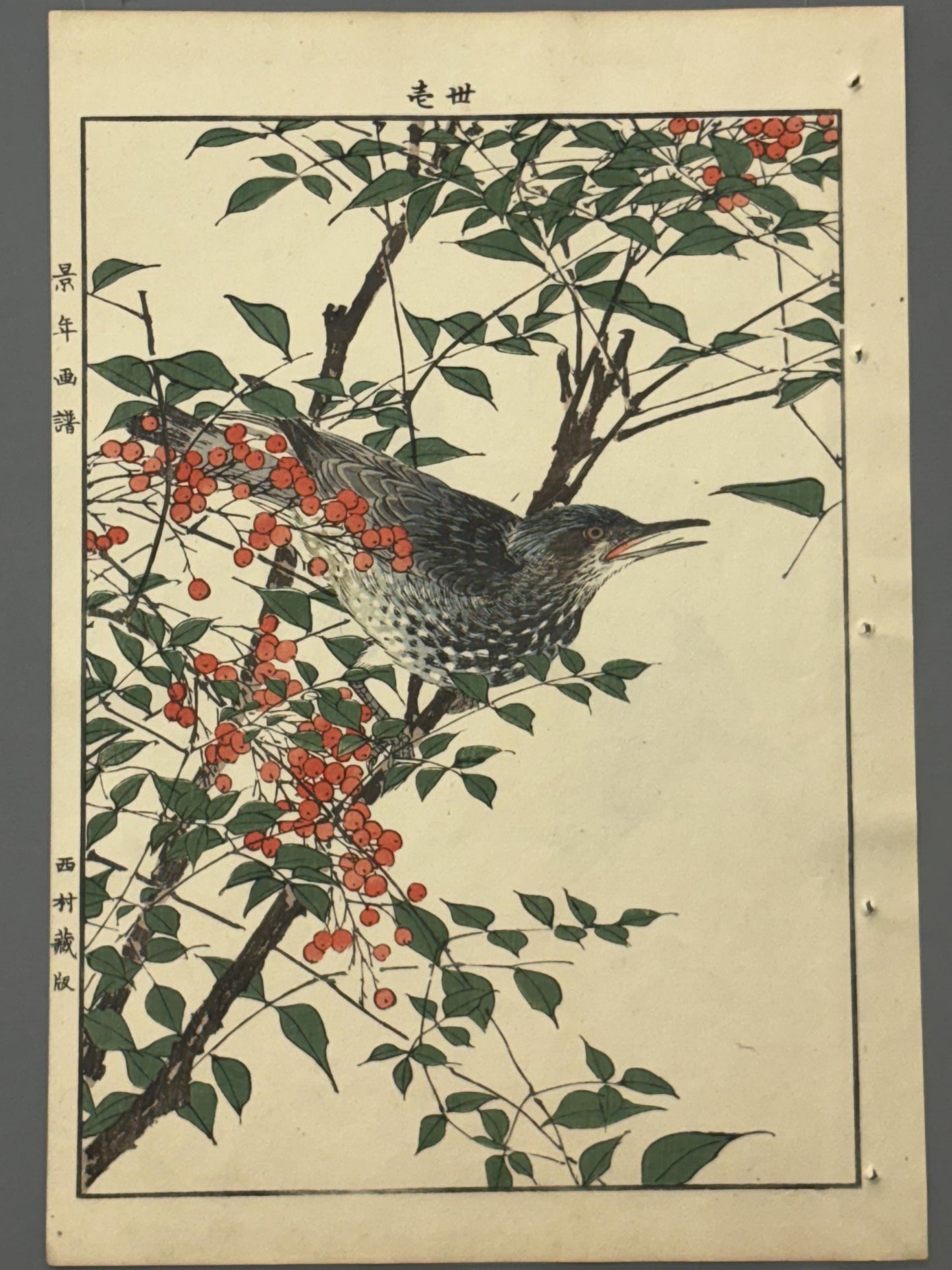 Japanese Antique Original Woodcut Print, 1892, Imao Keinen, "Heavenly bamboo, Bulbul"