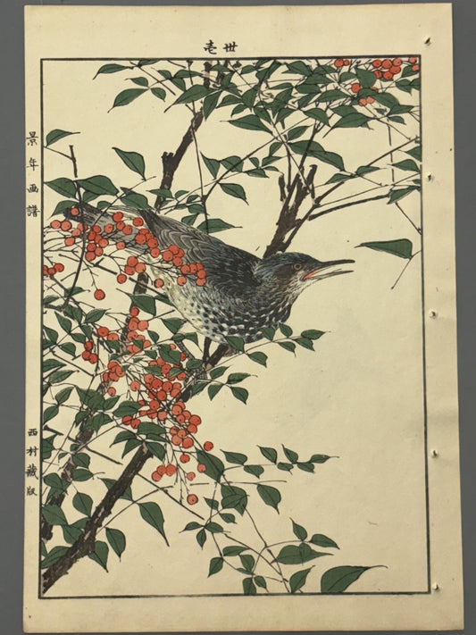Japanese Antique Original Woodcut Print, 1892, Imao Keinen, "Heavenly bamboo, Bulbul"