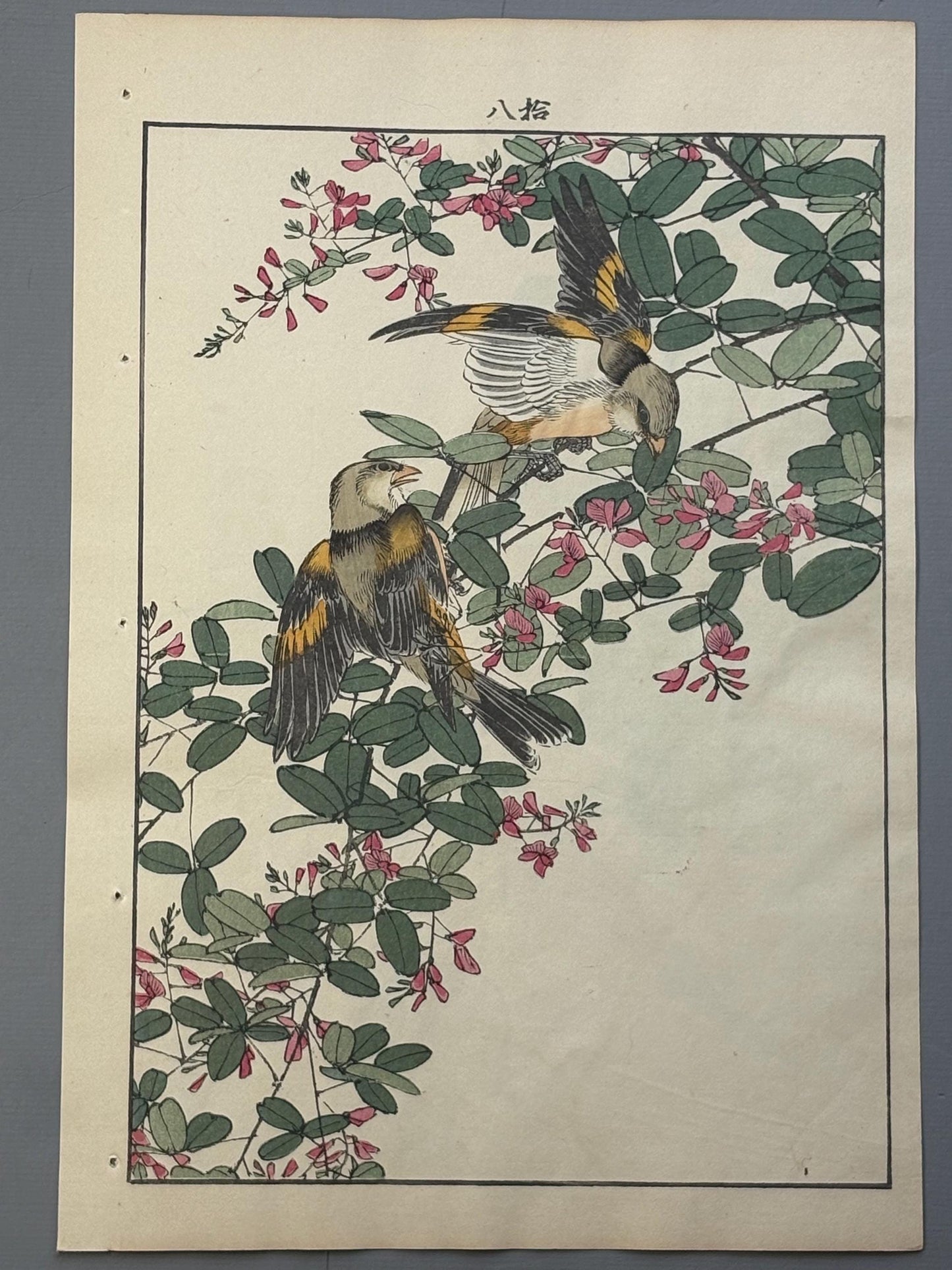 Japanese Antique Original Woodcut Print, 1892, Imao Keinen, "Bush clover, Oriental greenfinch"