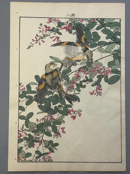 Japanese Antique Original Woodcut Print, 1892, Imao Keinen, "Bush clover, Oriental greenfinch"