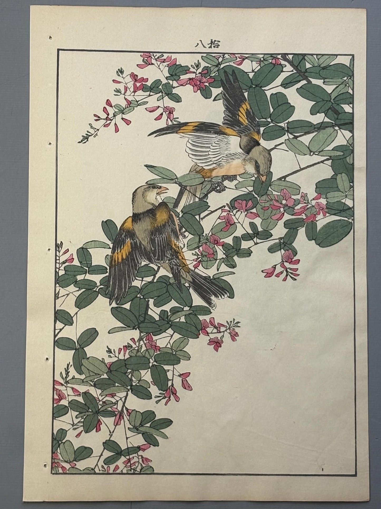 Japanese Antique Original Woodcut Print, 1892, Imao Keinen, "Bush clover, Oriental greenfinch"