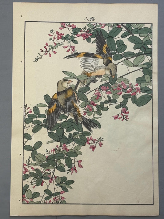 Japanese Antique Original Woodcut Print, 1892, Imao Keinen, "Bush clover, Oriental greenfinch"