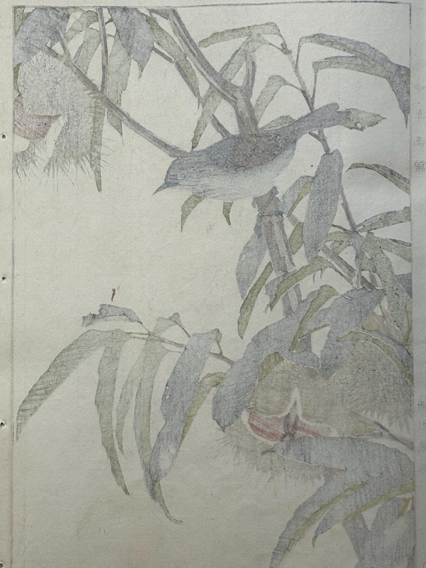 Japanese Antique Original Woodcut Print, 1892, Imao Keinen, "Japanese chestnut, Southern black tit"