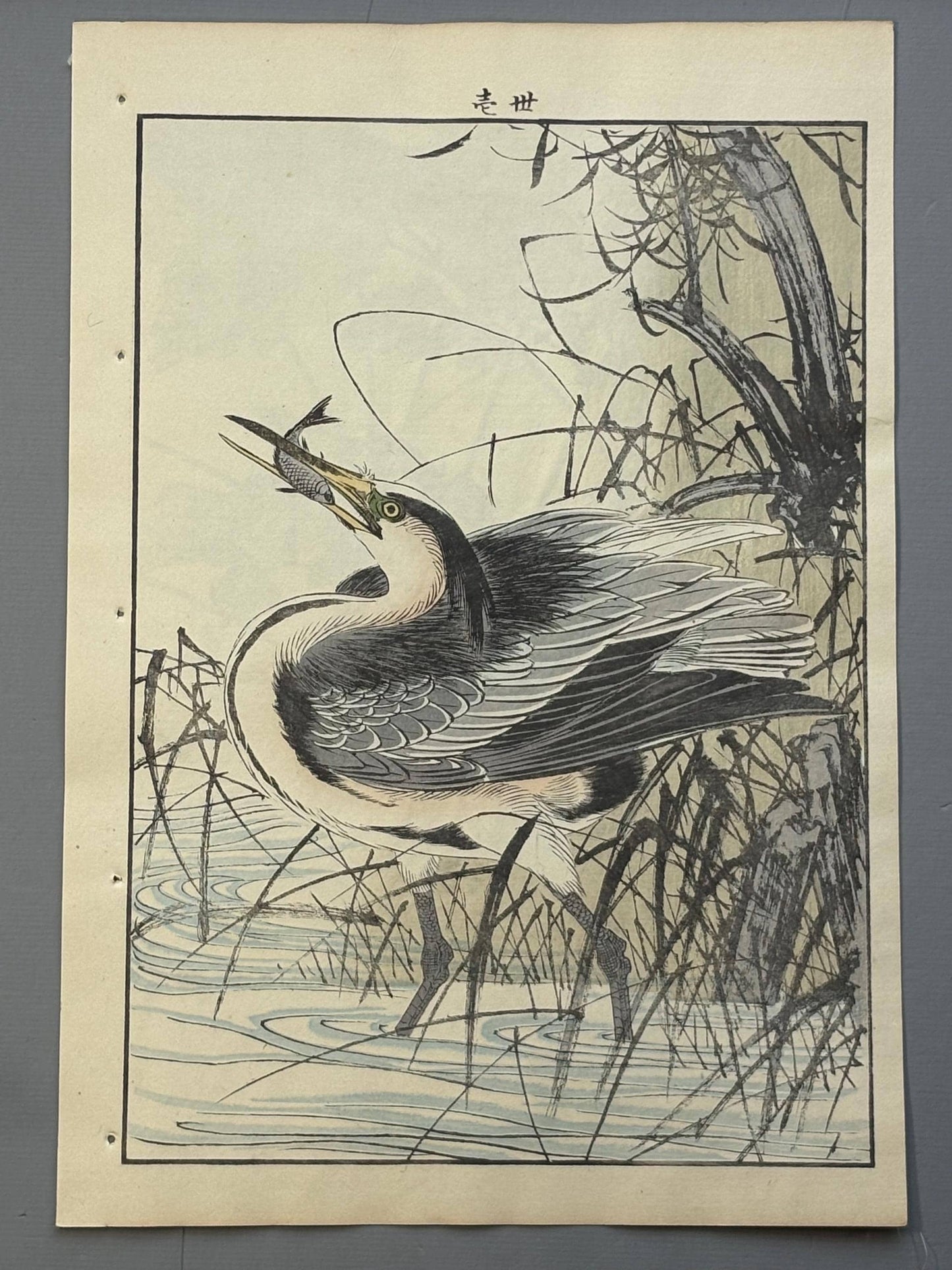 Japanese antique woodcut print, 1892, Imao Keinen, "Willow, Gray heron"