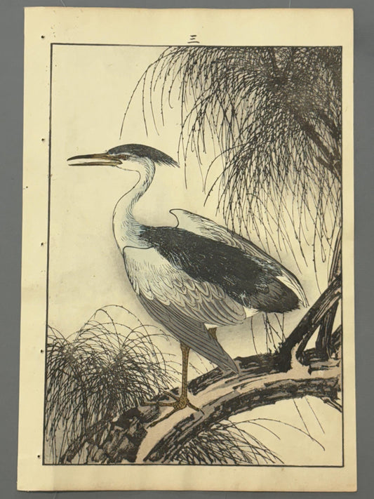 Japanese Antique Original Woodcut Print, 1892, Antique Original Woodcut Print, Imao Keinen, "Willow, Black-crowned night heron Night heron"